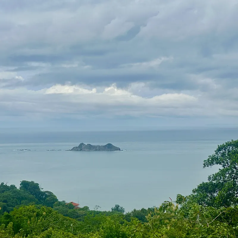 The Pacific and a small island seen over the rainforest